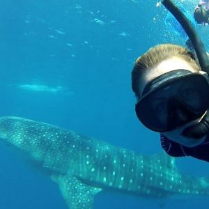 13043227_10153546252692215_8605168774390158936_n