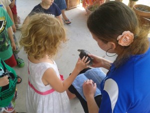 katie helps girl touch turtle