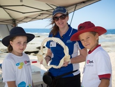 ocean life education at kids in action