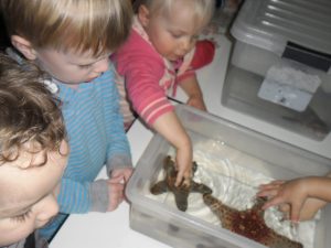 children touching sea stars