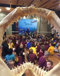 ocean to outback jaws