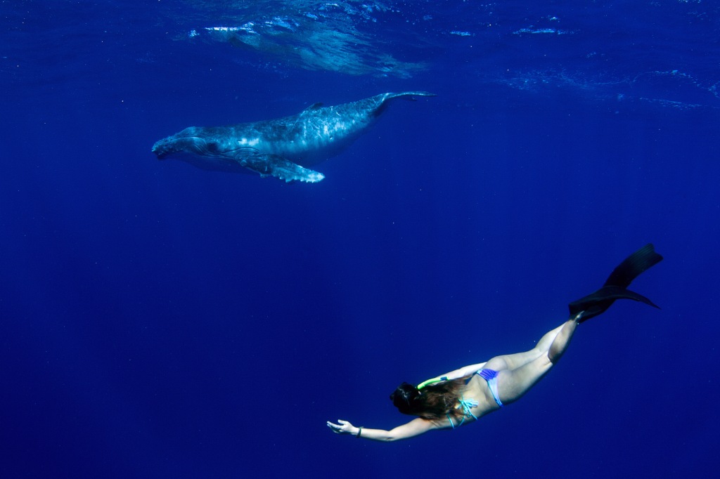 oceanzen swimming