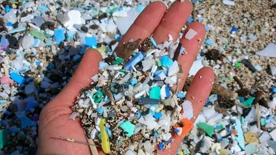 micro plastics