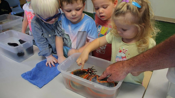 world oceans day kids