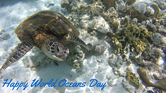 world oceans day title