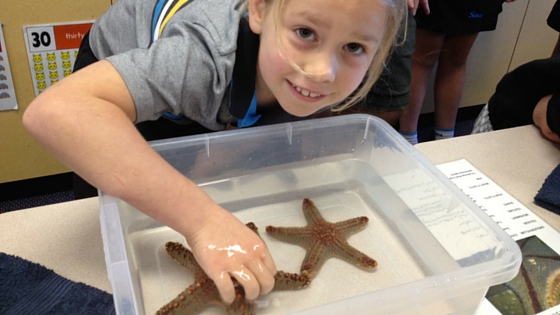 science week ocean life