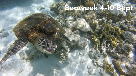 Seaweek 4-10 Sept