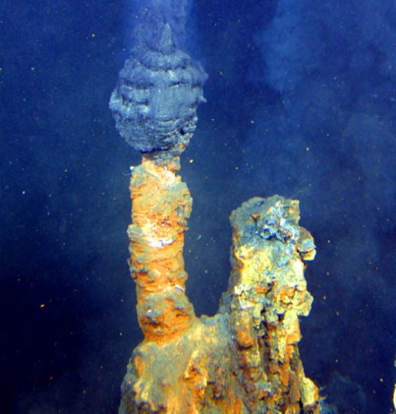 hydrothermal vents Ocean Life Education
