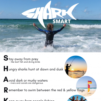 Shark Smart poster