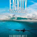 shark cull