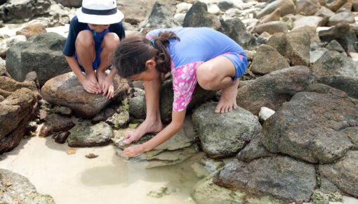 Rockpools