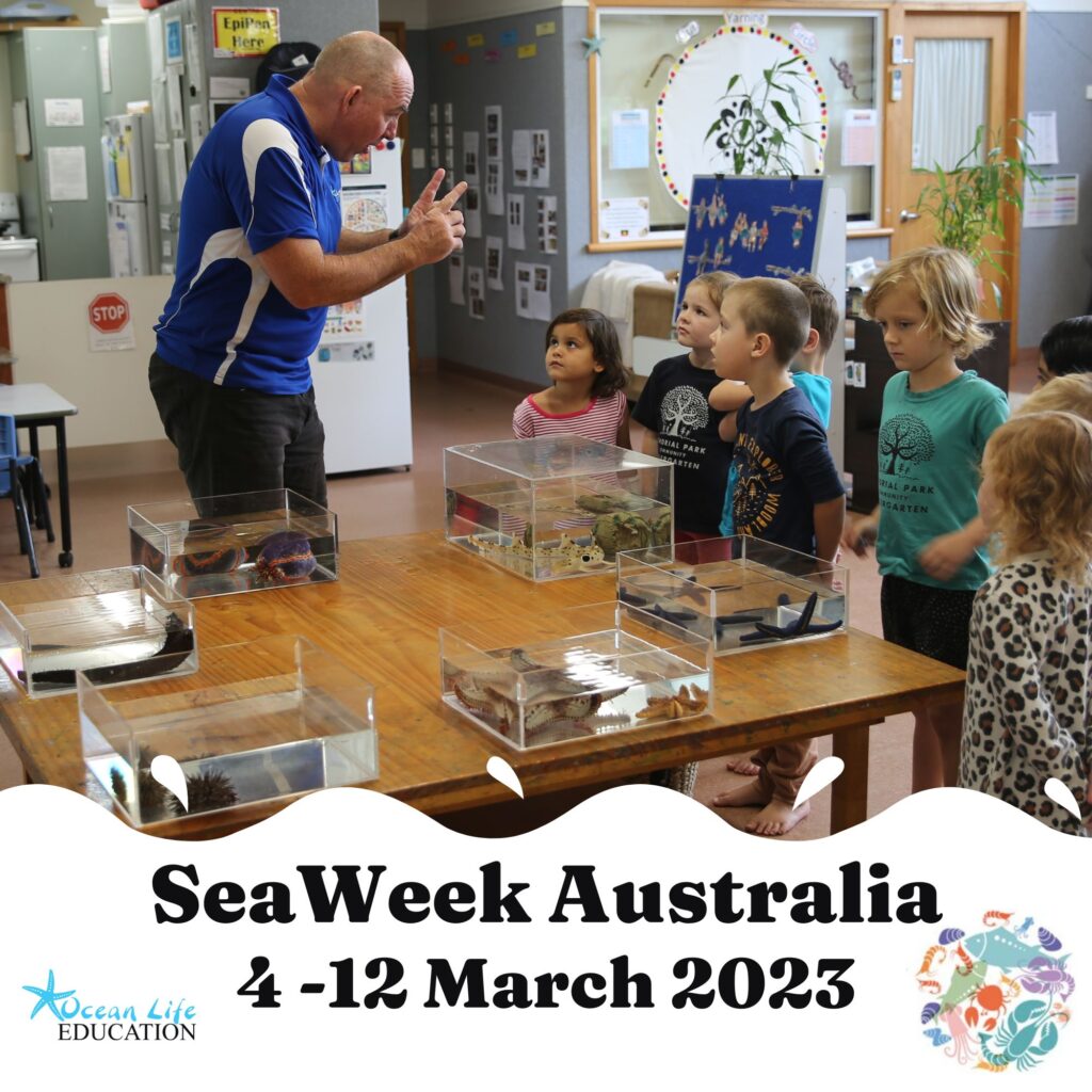 seaweek 2023