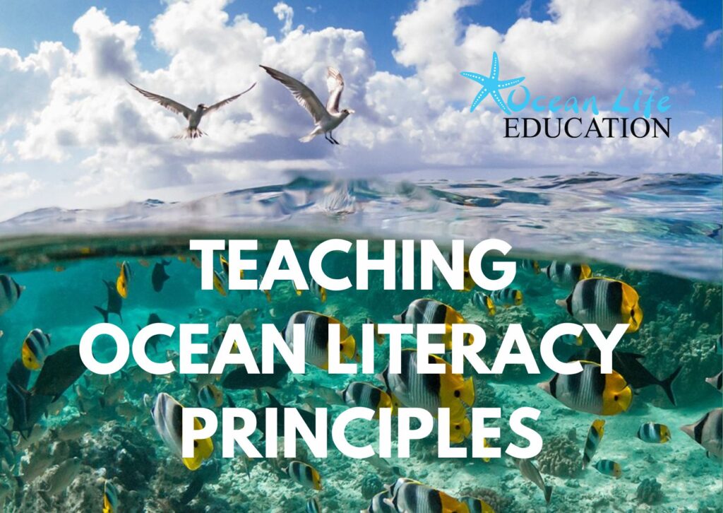 teaching ocean literacy principles