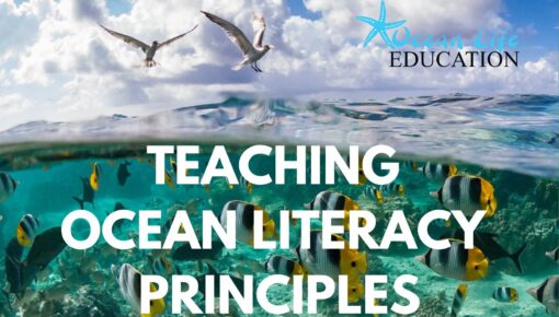 ocean literacy principles for schools