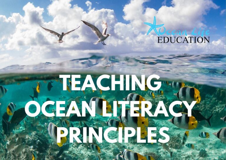 7 ocean literacy principles Archives Ocean Life Education