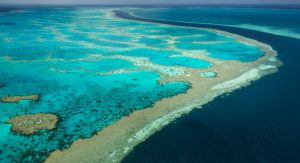 The Great Barrier Reef