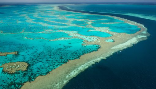 The Great Barrier Reef