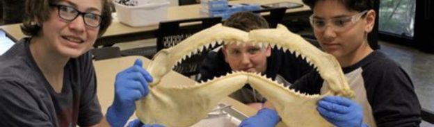 Ocean High School Programs