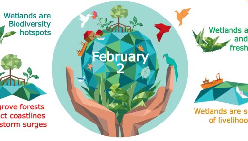 World Wetlands Day 2024