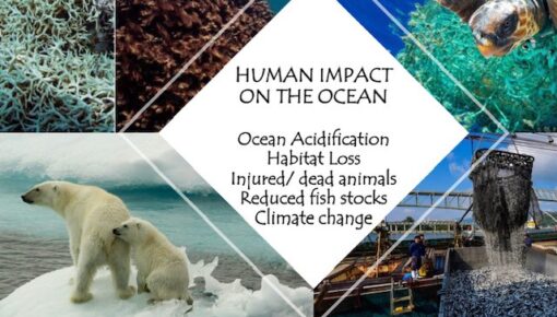 Human Impact on the Ocean