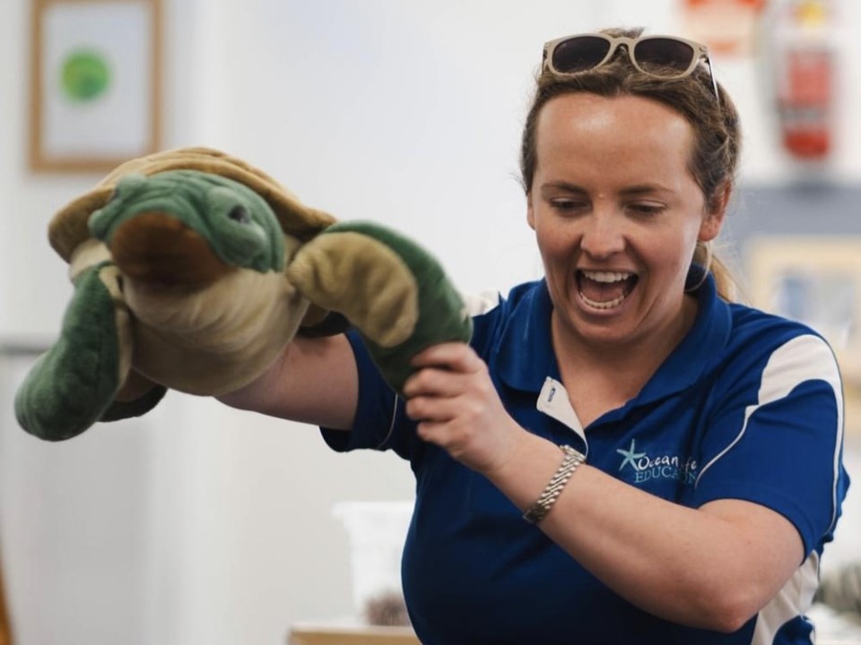 Our Inspiring Team of Marine Biologists - Ocean Life Education