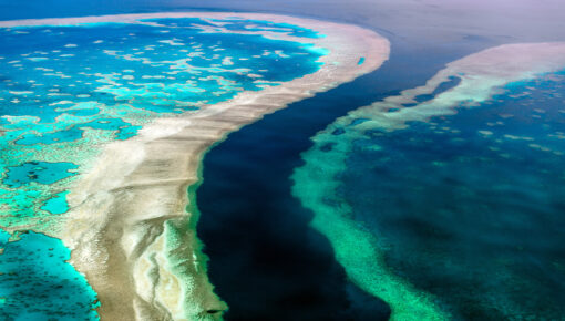 Great Barrier Reef Habitats