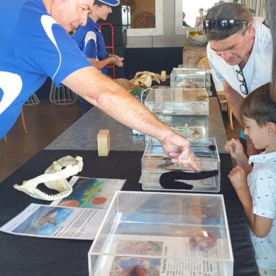 Interactive Marine Displays