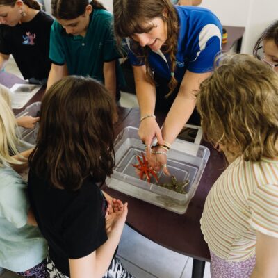 Primary Ocean Programs