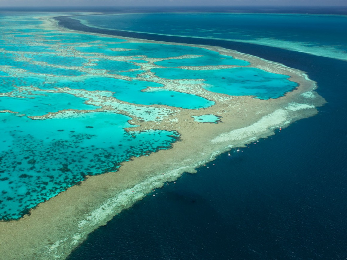 Great Barrier Reef for Schools