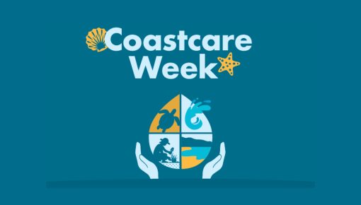Coastcare Week