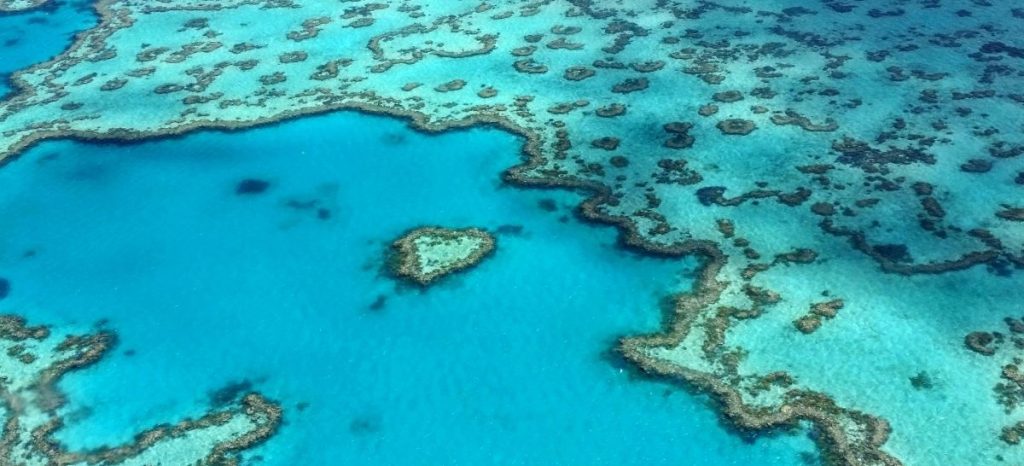 Great Barrier Reef Ecosystem
