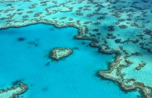 Great Barrier Reef Ecosystem