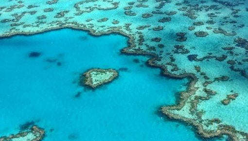 Great Barrier Reef Ecosystem