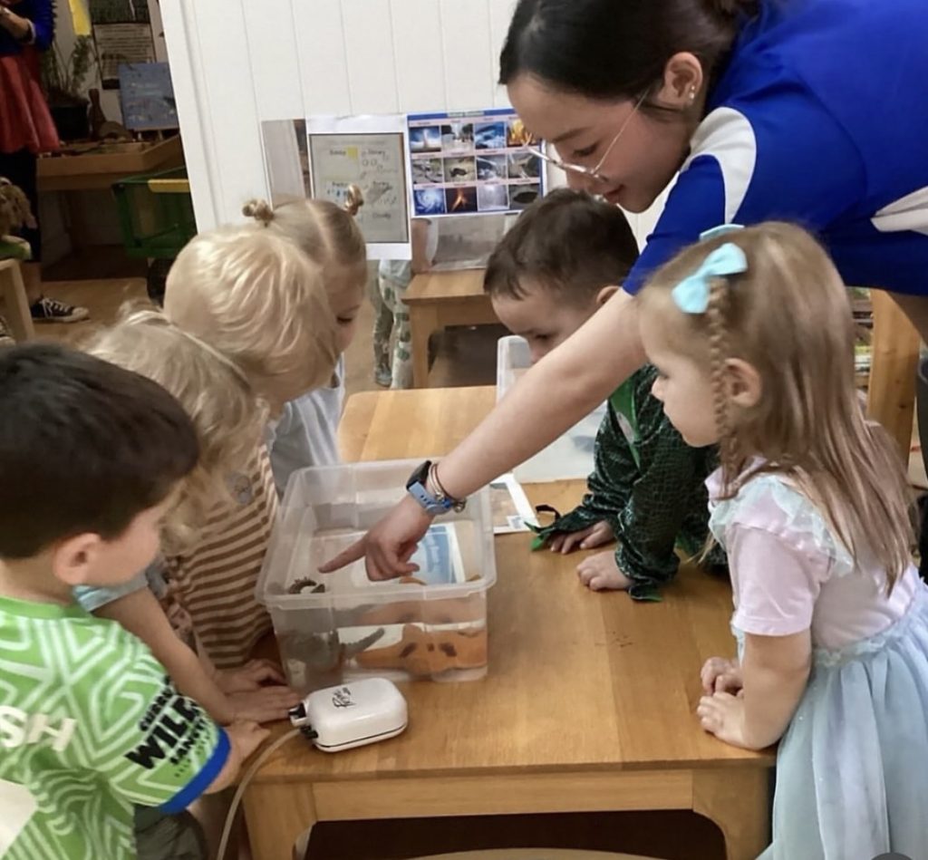 Early Years Ocean Incursions