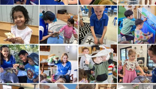 Ocean Events & Activities 2026