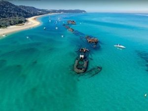 Tangalooma Wrecks Habitat