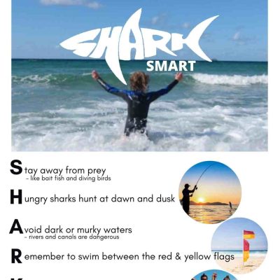 QLD Shark Smart Poster