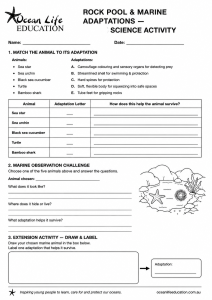 Year 5 Adaptations Activity
